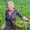 Mirjana Memedović