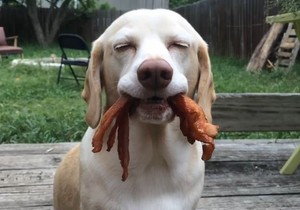 607092_capture-printskrin