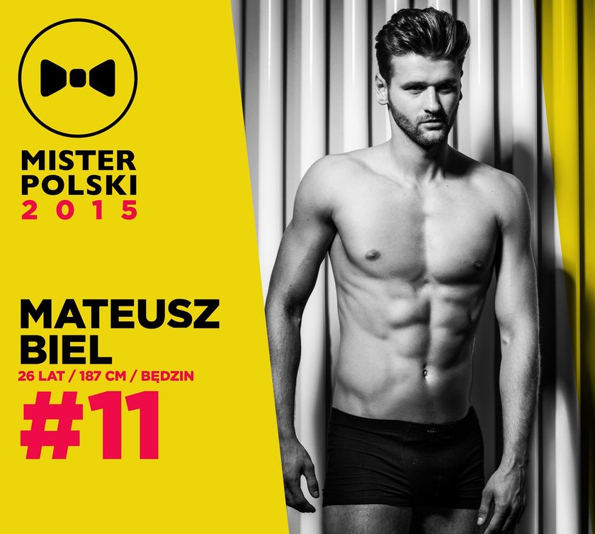 Mister Polski 2015