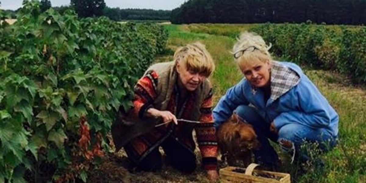 Adrianna Biedrzyńska, Katarzyna sienkiewicz, wieś, wakacje