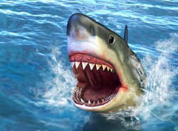 Rekin zaatakował człowieka. Mężczyzna stracił nogę