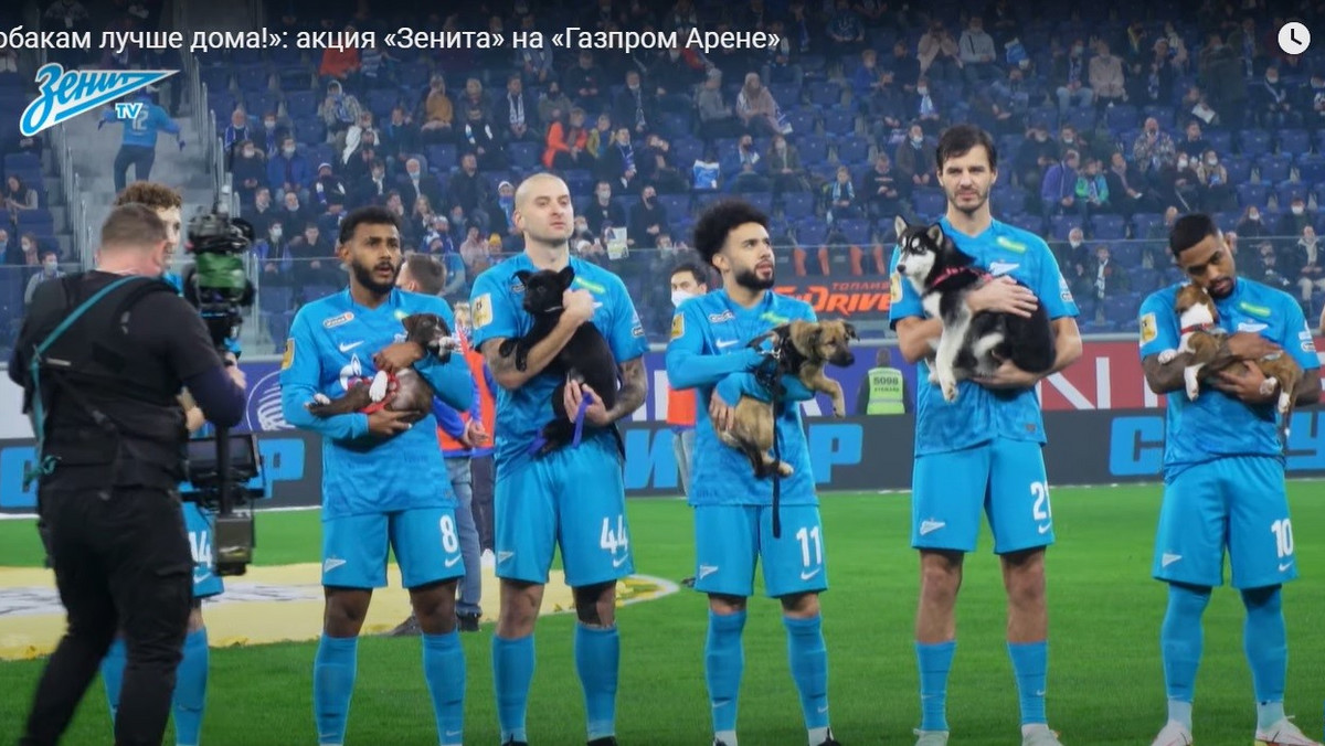 Piłkarze wyszli na stadion z psami na rękach. To najsłodsze, co zobaczysz