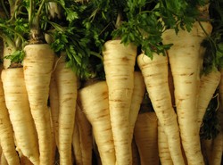 Do czego potrzebny nam BŁONNIK?