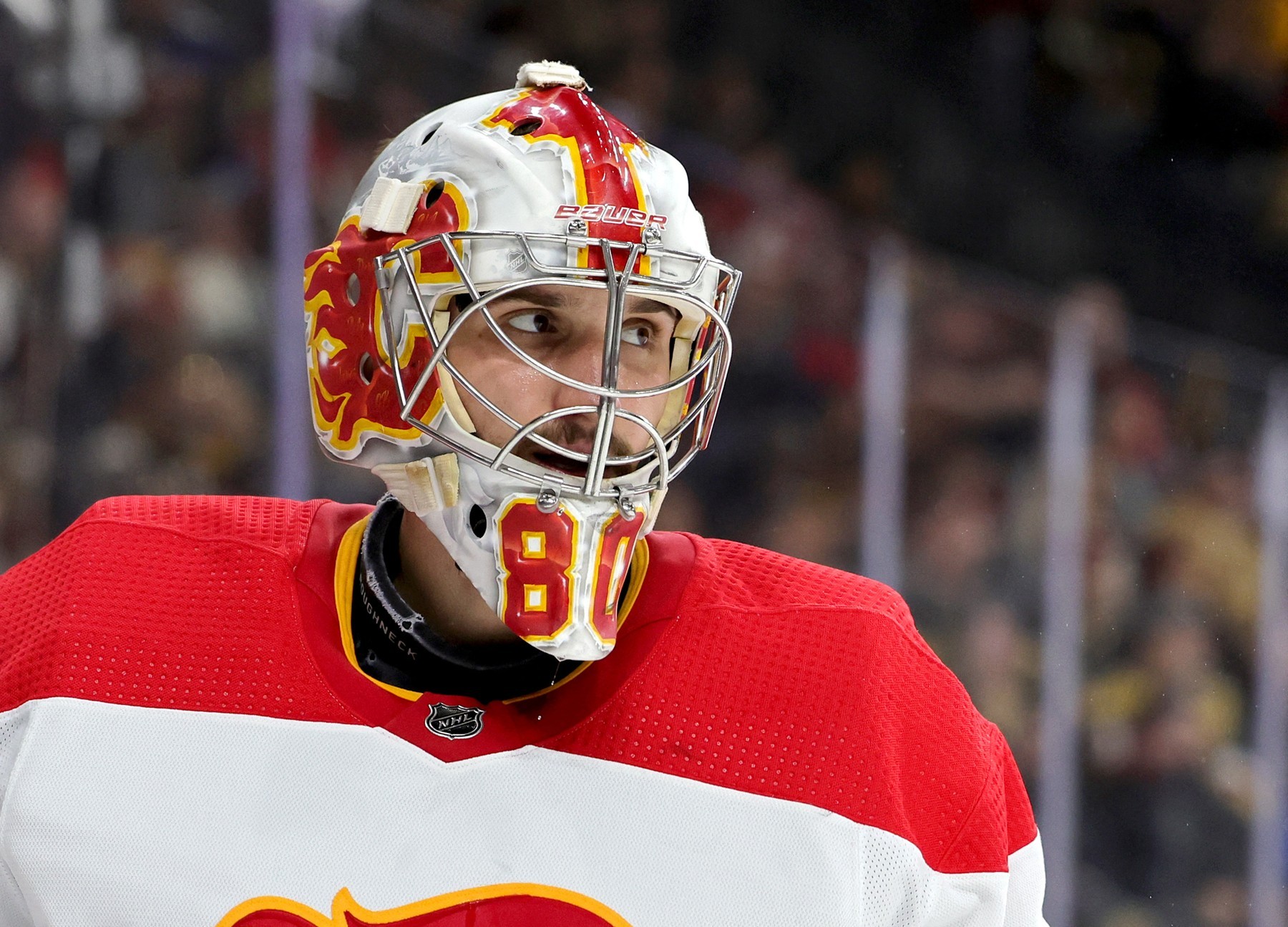 Hviezdny brankár z hokejovej NHL Daniel Vladař.