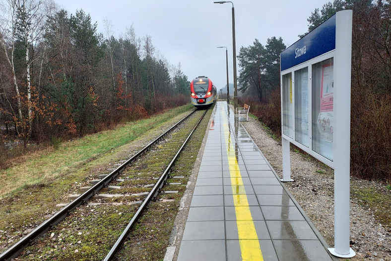 Pociąg z Łodzi w Sitowej – sąsiedzi ministra nie są wykluczeni komunikacyjnie