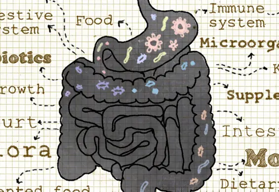 4 najgorsze rzeczy, które możesz zafundować swoim jelitom