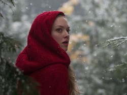 Nieprawdziwa historia Czerwonego Kapturka