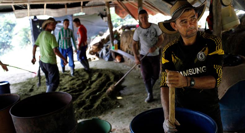 A farmer stirs a mix of mulched coca leaves and cement with gasoline, as part of the initial process to make coca paste, in Antioquia, Colombia, January 7, 2016.