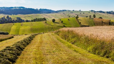 gminom grożą susze i lokalne podtopienia? apel o zmianę przepisów