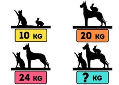 Trening dla geniuszy. Tylko 2 proc. najbystrzejszych umysłów rozwiązuje tę łamigłówkę w 6 sekund. Podejmiesz się?