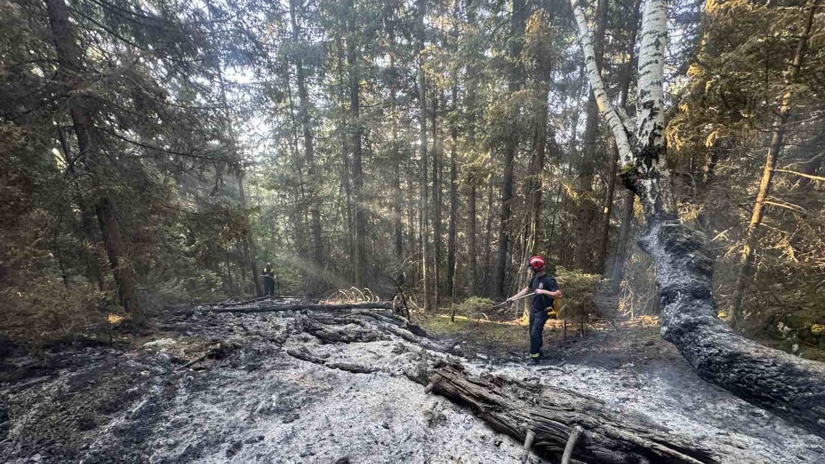  Veliki šumski požar na Kamenoj Gori 