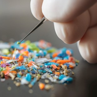 A nanoműanyagok egészségügyi kockázatait vizsgálják az SZTE kutatói