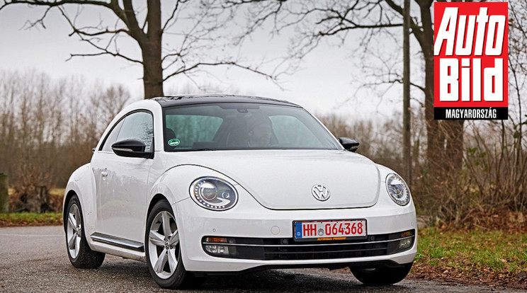 A Volkswagen Beetle örök kedvenc marad / Fotó: Auto Bild