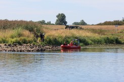Ekspert ws. skażenia Odry: Skala zatrucia środowiska sięga o wiele dalej