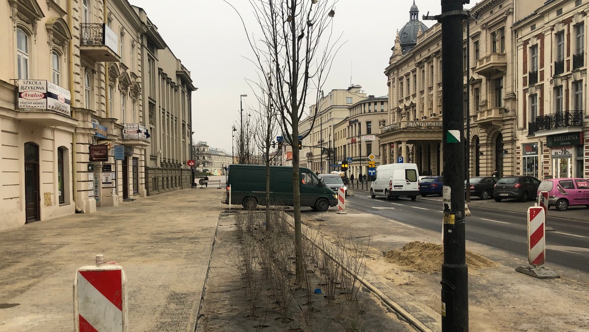 Lublin: Radni PiS podzieleni w kwestii ochrony zieleni