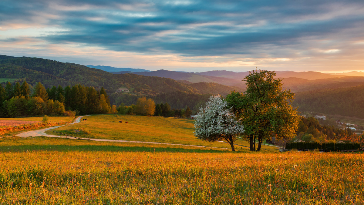 Beskid Sądecki: atrakcje, szlaki i góry. Co warto zobaczyć?