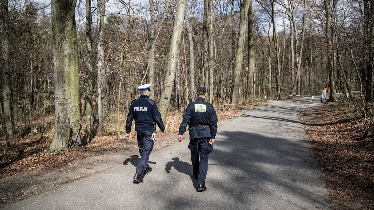 Koronawirus w Polsce: zamknięte lasy. Myśliwi także bez prawa wstępu