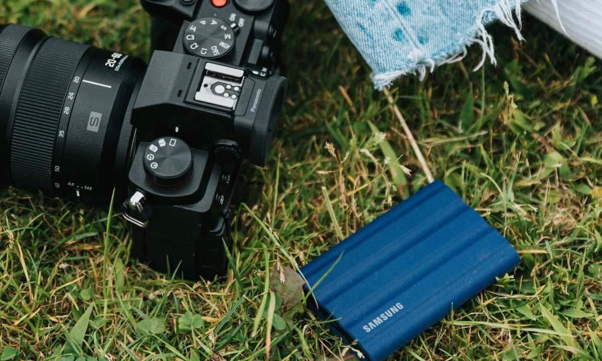 Zaniosłam dane do lasu. I przetrwały więcej niż ja