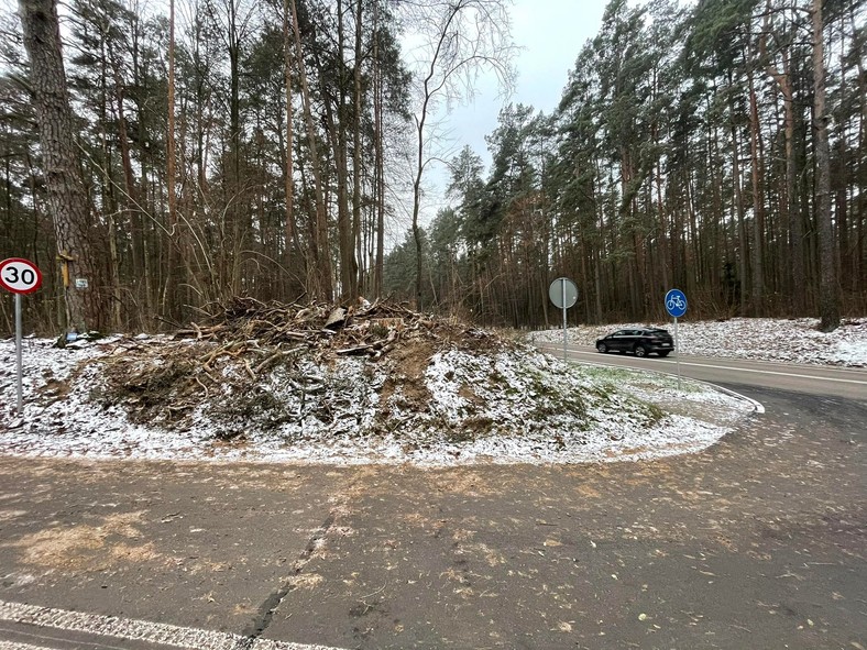 Miejsce po ściętej ok. 120-letniej sośnie 