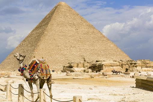 Egypt, Cairo: dromedary in front of the Great Pyramid of Giza (also known as the Pyramid of Khufu or