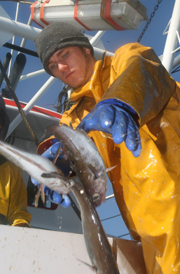 Komisja Europejska zakwestionowała jednoczesne pobieranie odszkodowań za niełowienie dorsza i prowadzenie połowów innych gatunków ryb.