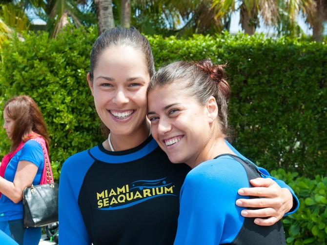 Drugarica Ane Ivanović napravila skandal u Australiji, oglasila se i Jelena Đoković