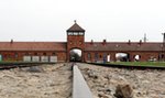 Belgowie kradli w Auschwitz, teraz mają kłopoty