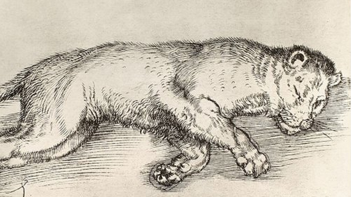 PiS chwali się znalezieniem pracy Dürera, która wciąż jest poszukiwana