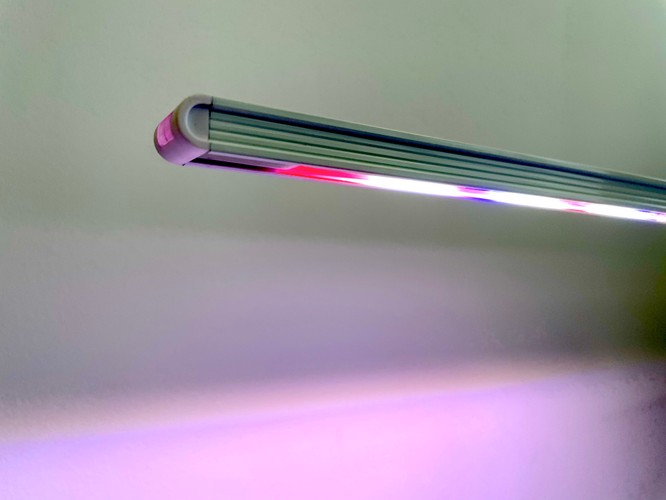 Ratgeber Indoor-Gärten: Kräuter, Gemüse & Anzucht für innen | TechStage