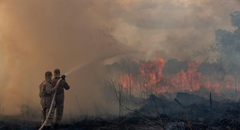 Firefighters in the Brazilian Amazon basin state of Mato Grosso battle a forest blaze in the municipality of Sorriso