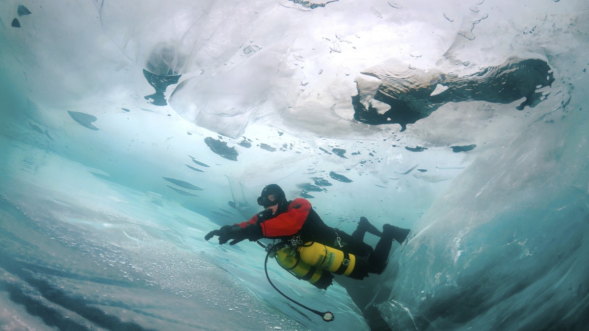 Ronilac - lustracija