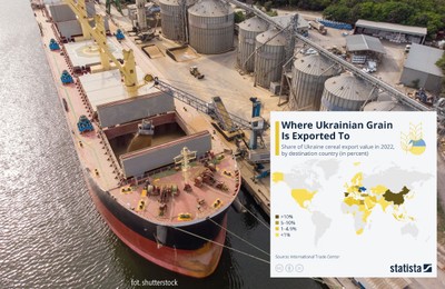 Rosja wycofała się z umowy zbożowej. Oto kraje, które kupowały najwięcej ziarna z Ukrainy [WYKRES]