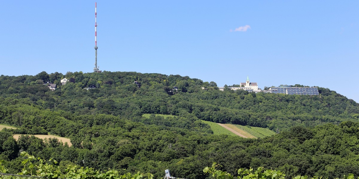 Wandale zniszczyli dwa pomniki 