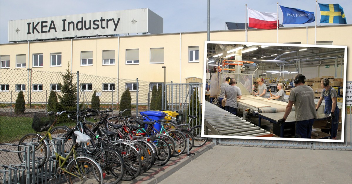 IKEA Wielbark w kryzysie: 250 zwolnień i upadek lokalnego giganta zatrudnienia