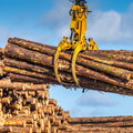 Ceny drewna w Polsce rosną. Ale ministerstwo nie będzie interweniować