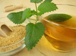 Ta herbatka ziołowa Melisa może być zagrożeniem dla zdrowia. GIS ostrzega