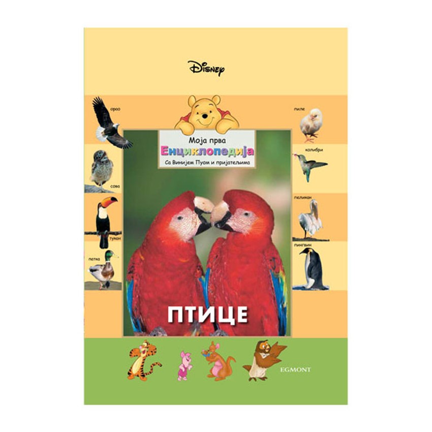 Ptice - Moja prva enciklopedija