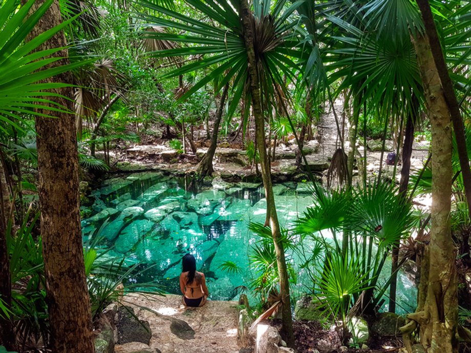 Zielony raj z palmami i ruinami , Cenote Azul, Riviera Maya na Półwyspie Jukatan