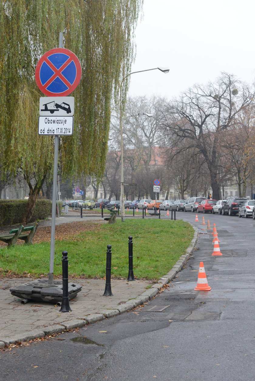 Znak o zakazie parkowania na ul. Frycza-Modrzewskiego we Wrocławiu