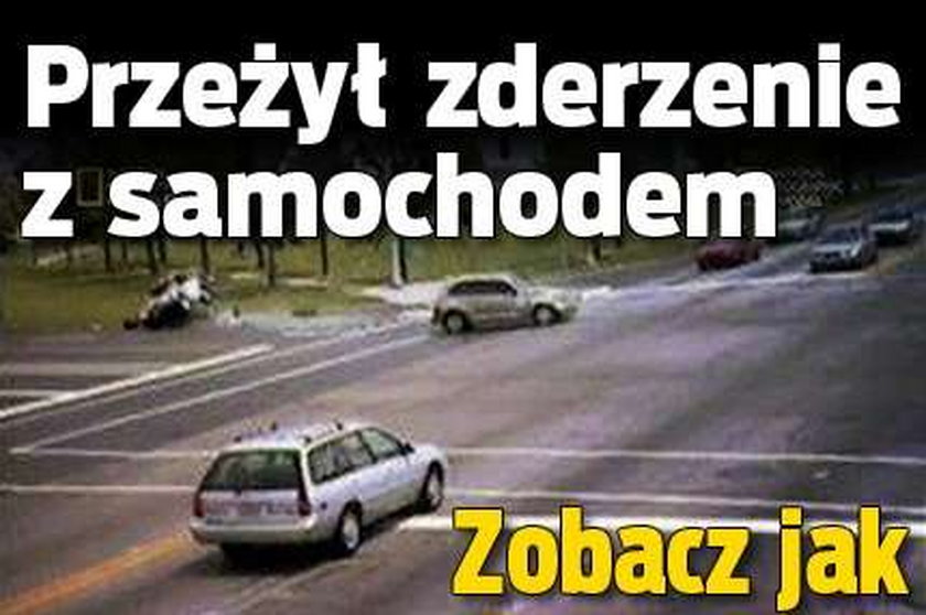 NIEZNISZCZALNI: Przekoziołkował po nim samochód i przeżył to! Sam zobacz