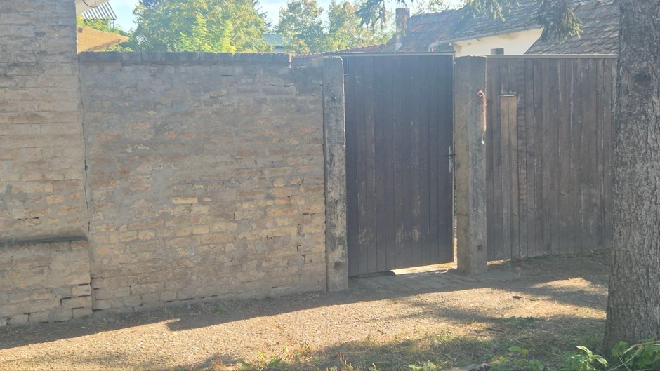 Pas leži kraj kapije