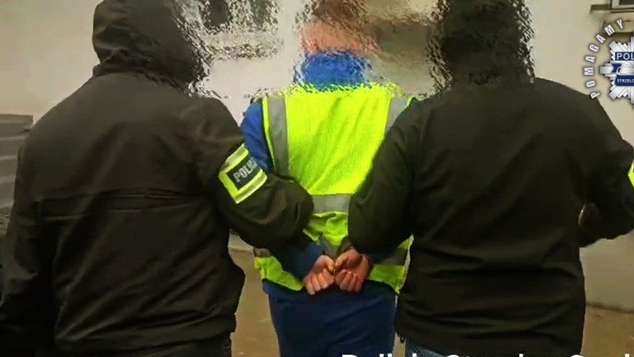 Sprawa zaginięcia 11-letniej Patrycji. Prokurator o 24-latku z Żor: trwa analiza jego komputera