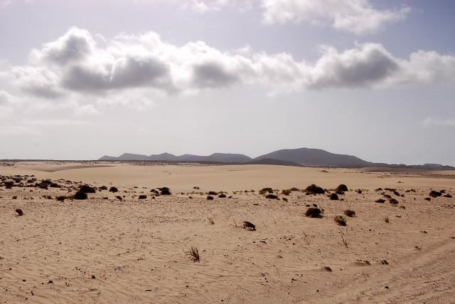 Galeria Wyspy Kanaryjskie - Fuerteventura, obrazek 34