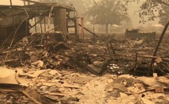 Całe miasteczko spalone przez pożary lasów w Oregonie [WIDEO]