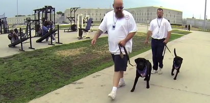 Więźniowie tresują psy dla niewidomych