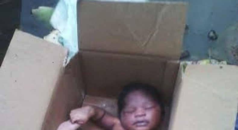 The baby in the carton