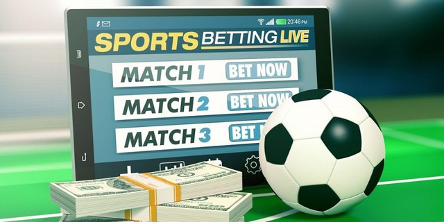 How to get free football betting tips | Pulse Nigeria