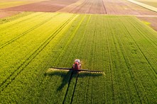 Wojna może wywołać kryzys żywnościowy. Na uderzenie z tej strony nikt nie był gotów