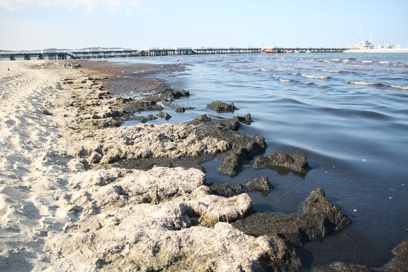 Na plaży w Sopocie pojawiły się wodorosty