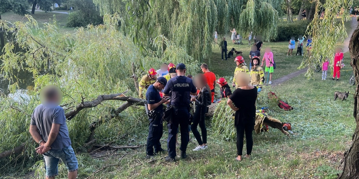 Potężny konar przygniótł nastolatki w parku w Kaliszu.